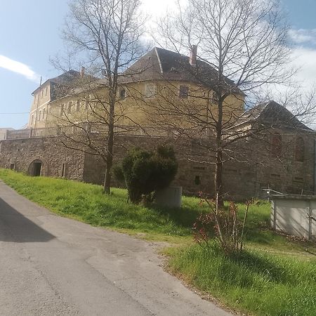 Ferienwohnung Im Rittergut Plohn 300 Meter Zum Freizeitpark Lengenfeld  Buitenkant foto